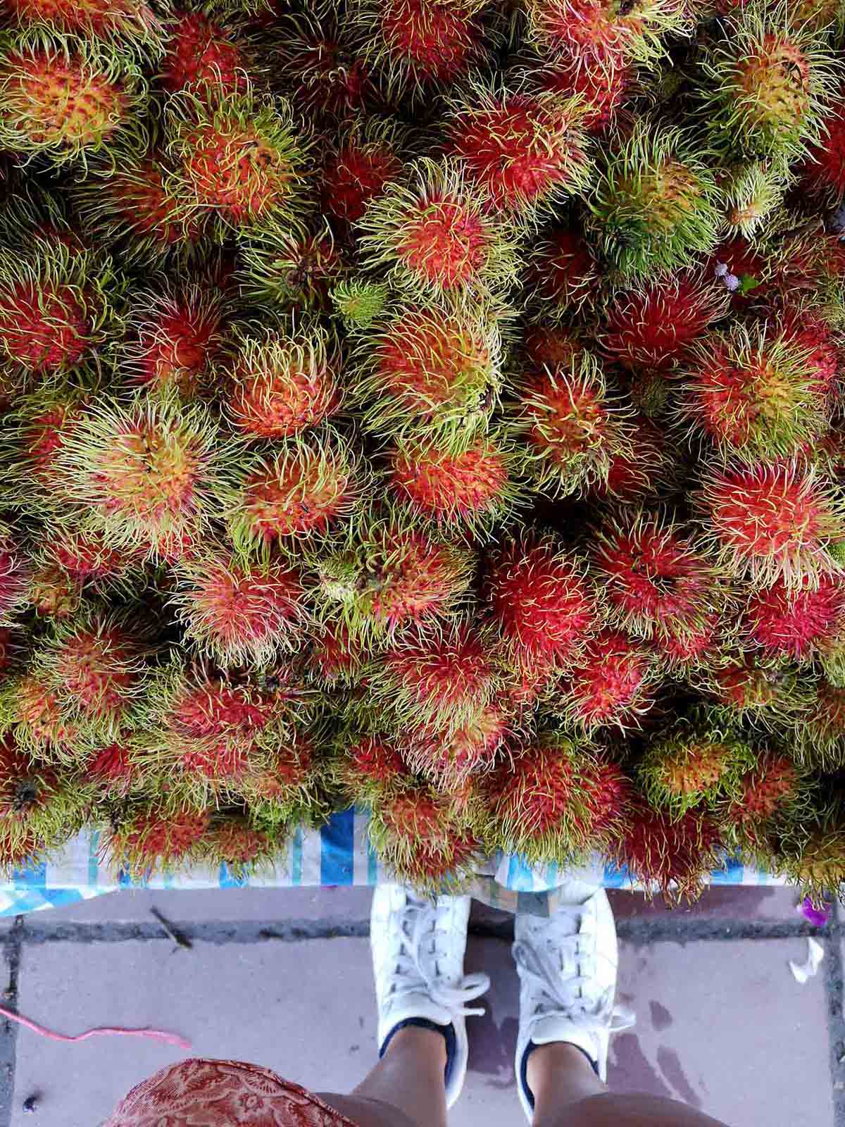 Rambutan